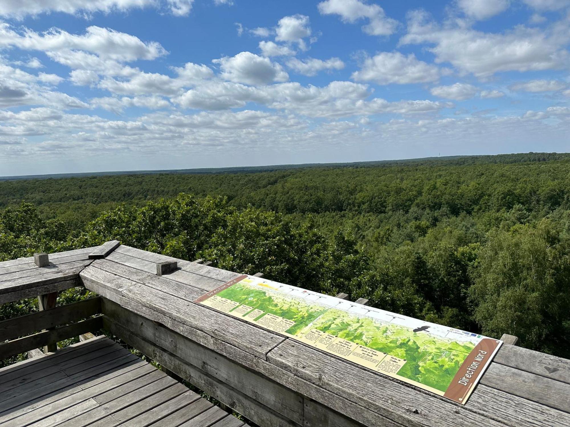 *** Domaine Des Noyers - Proche Centre Ville Châteauneuf-sur-Loire Zewnętrze zdjęcie