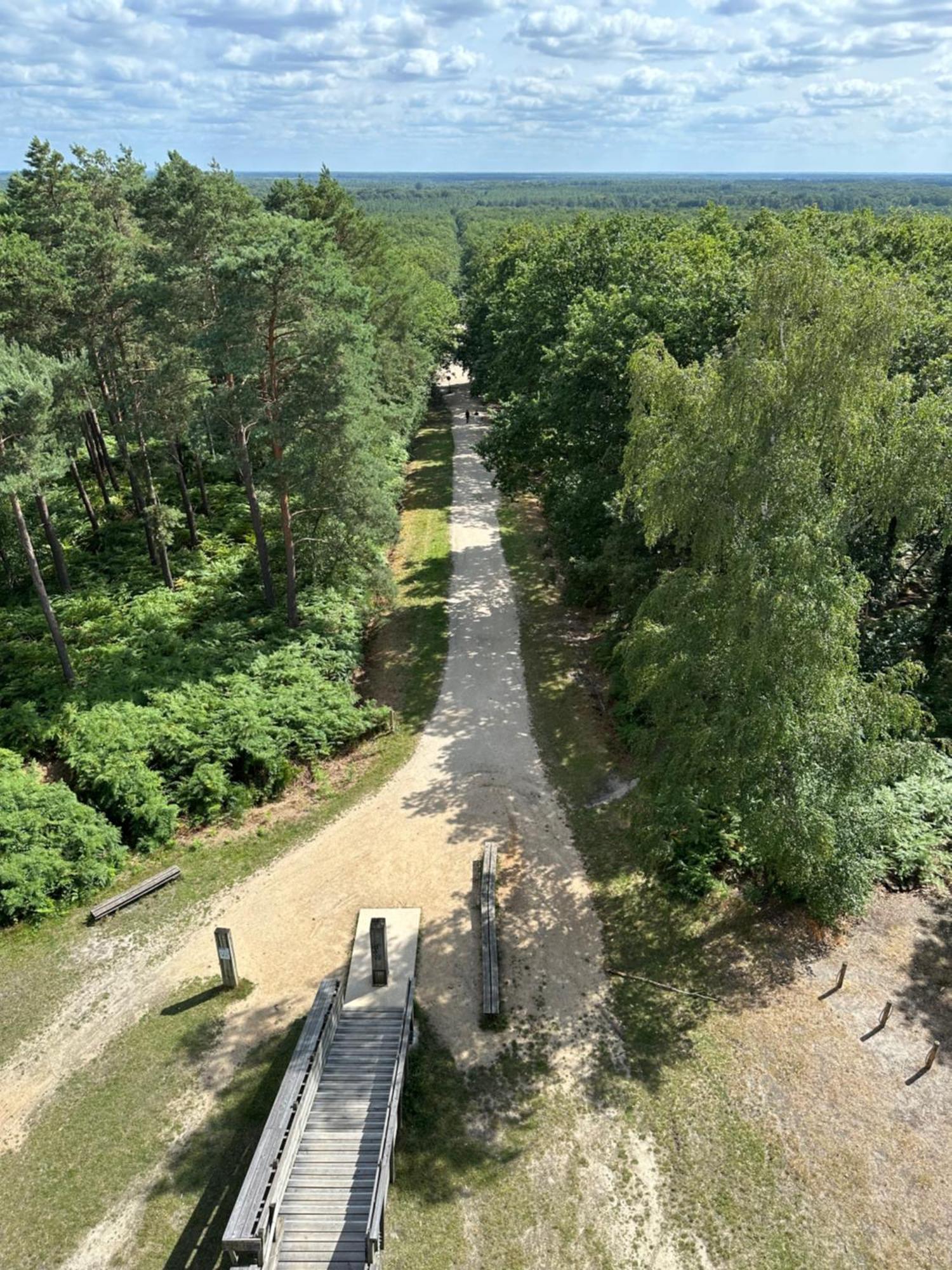 *** Domaine Des Noyers - Proche Centre Ville Châteauneuf-sur-Loire Zewnętrze zdjęcie